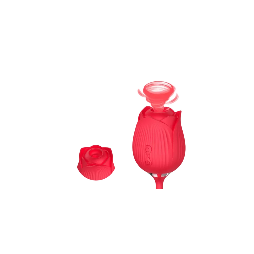Stimulateur Clitoridien Elora - Aspiration, Vibrations & 10 Modes